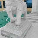 重庆 白麻花岗岩动物异形石雕-大象